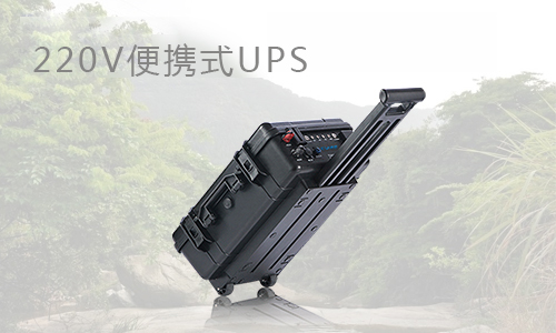 220VЯʽUPS.jpg