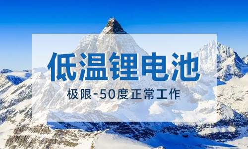 -50ȵ﮵ؽ 
